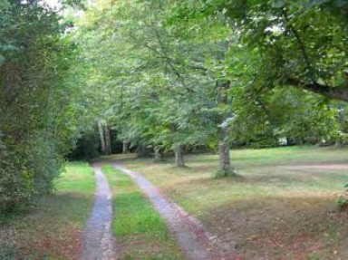 Grand Gîte de 5 chambres sur un Parc de 3 ha dans la Creuse