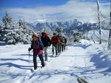 Gîte de charme dans les Alpes du Sud à Seyne - Proche Serre Ponçon