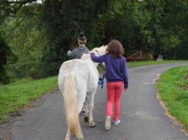 Gîte Tarn, Albi, 7 personnes, calme, tourisme vert : animaux acceptés