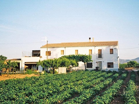 Catalogne, proche Barcelone, belle maison dans les vignes - Mas Prat