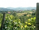 B&B sur les collines de Acqui Terme entre bois et vignes, Piémont