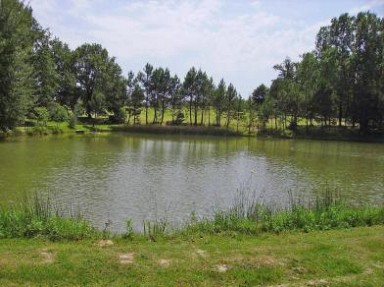 Gîte de pêche et de lecture - A côté de Bergerac, en Périgord Pourpre