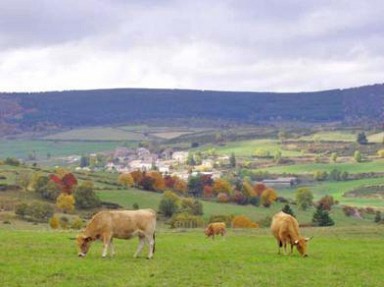 Gîte rural  pour les vacances à La Panouse en Lozère