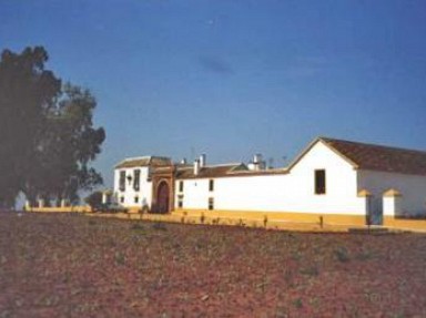 Cortijo rural Hacienda San José - Typique ferme en Andalousie, Séville