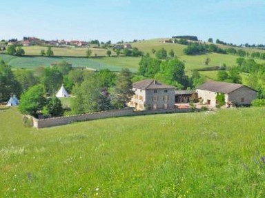 Gîte au vert, idéal famille, animaux à la ferme, piscine - Loire