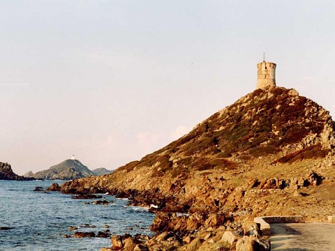 Location studio Corse du Sud, bord de mer - Région d'Ajaccio