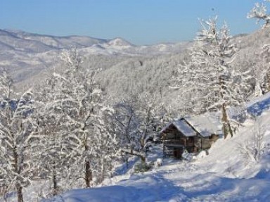 Gîte rural Ariège, Midi-Pyrénées, Couserans Ercé, Pyrénées Ariégeoises