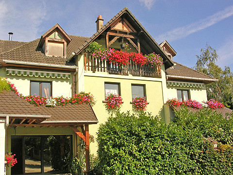 Chambres d'hôtes Les Bougainvilliers 67600 Kintzheim Alsace