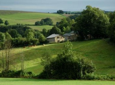 Gîte rural Tarn 6 pers dans un hameau isolé idéal pour les enfants