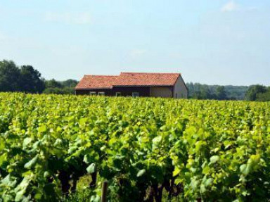 Gîte de la Tucauderie - 44330 Mouzillon - Loire Atlantique