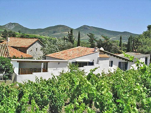 La Maison des Vendangeurs : Pays Cathare et 25 km de la Méditerranée