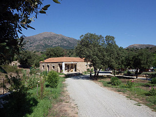locations vacances Villa Haute-Corse Countryside à MOLTIFAO