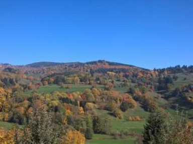 Charmant chalet très calme en pleine nature près Munster - Haut Rhin