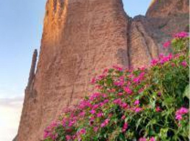 Gîte rural de qualité à Riglos, Huesca - Pyrénées espagnoles en Aragon