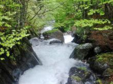 2 appartements dans gîte aux Eaux Bonnes près Gourette et Laruns