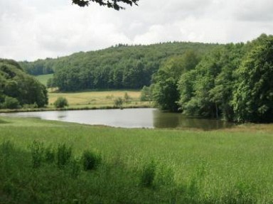 Gîte Cantal 3*, étang de pêche privée, wifi. Ferme en Auvergne