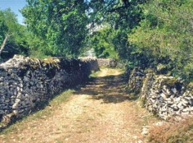 Chambres d'hôtes La Hulotte à Limogne en Quercy - Causse de Limogne