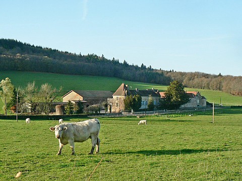 Gîte à 12 km de Chalon - Bourgogne Sud - 71