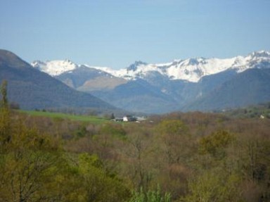 Maison de caractère 16 pers, campagne, piscine. Pyrénées Atlantiques