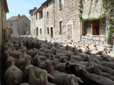 Gîte de groupe à Bellegarde en Diois, dans la Drôme, PC, DP ou GL