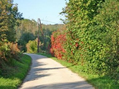 Grand gîte 12 km de Compiègne Oise - 15 personnes