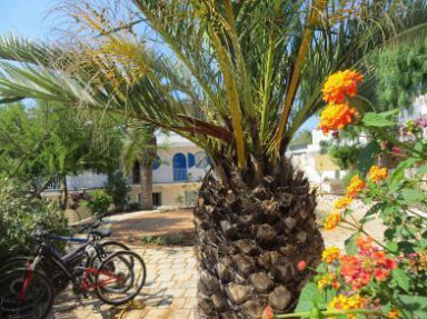 Vacances Italie du Sud, Pouilles - Villa Bruno - Campomarino Maruggio