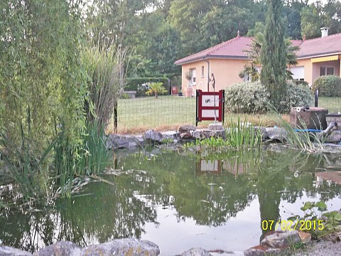 Chambres d'hôtes Lac du Der -  51290 Châtillon sur Broué dans la Marne