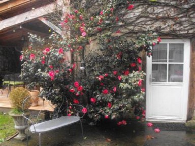 Maison d'hôtes avec piscine en Ariège près de Foix