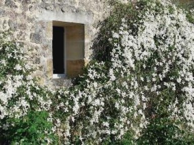 Gîte Gironde avec piscine, spa à Génissac, tout confort, grand jardin