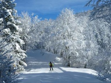 Gîte d'étape et de séjour, gîte de groupe à Rencurel dans le Vercors