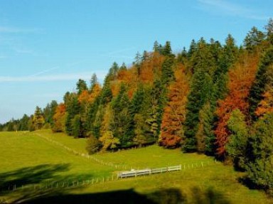 Location gîte Jura Au bout du monde : le Monthury