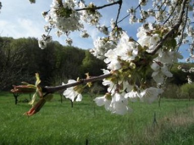 Le gîte Alambic à Montsec en Lorraine, dans la Meuse au lac de Madine