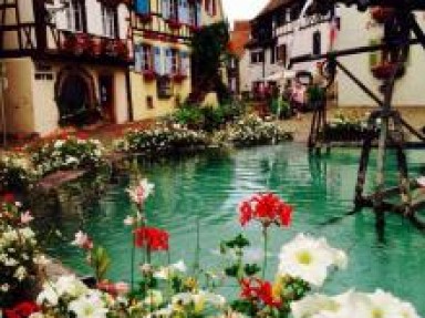 Location en gîte à Eguisheim en Alsace - Près de Colmar, Haut-Rhin