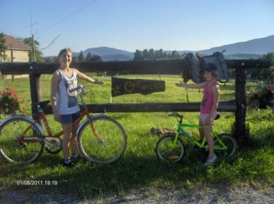 Gîte dans l'Ain, à Belley, à la campagne avec 8 ânes pour compagnons