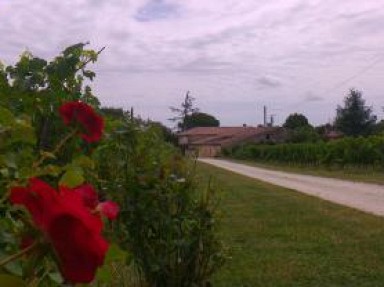 Gîte Gironde avec piscine, spa à Génissac, tout confort, grand jardin