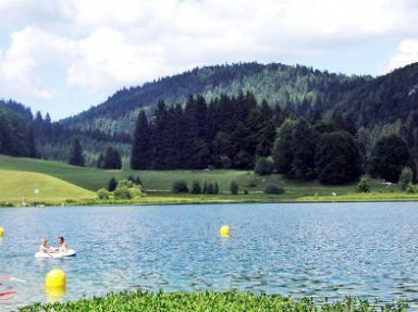 La Maison Cocotte dans l'Ain à Plagne - Pays de Gex