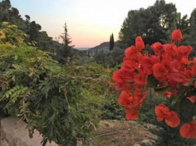 Gîte rural avec piscine privée, pleine nature - Menton Alpes Maritimes