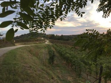 Chambres d'hôtes Piémont dans les collines du Monferrato et Langhe