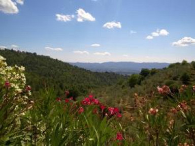 Gite Toscane avec piscine entre Florence (Firenze), Sienne et Arezzo