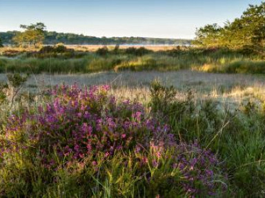 Gîte Bretagne nature, Finistère entre Morlaix et Huelgoat