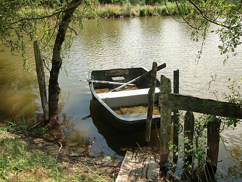 Gîte Cantal 3*, étang de pêche privée, wifi. Ferme en Auvergne