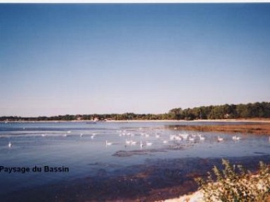 Lanton, T3 sur le port et face au Bassin d'Arcachon direct. SW