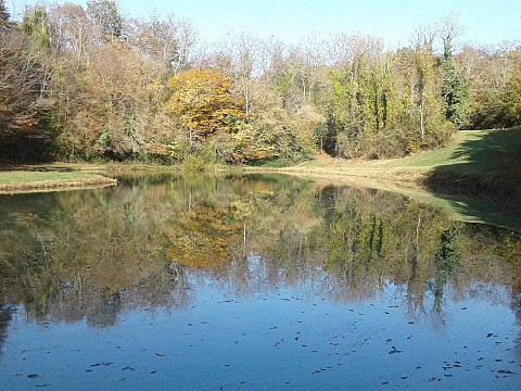 Gîte Dordogne la Périgourdine avec un étang privé pour la pêche