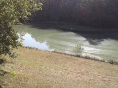 Gîte Dordogne la Périgourdine avec un étang privé pour la pêche