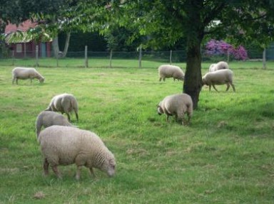 Gites ruraux Côte d'Albâtre entre Fécamp et Saint-Valéry en Caux