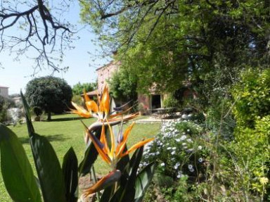 Villa à Saint Raphael - B&B Le Clos des Vignes dans le Var en Provence