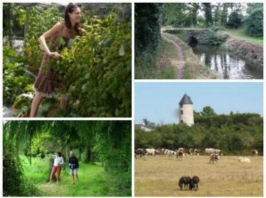 Gîte de groupe avec piscine en campagne près de Nantes