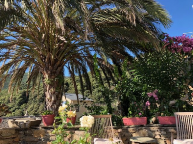 Gîte à Rogliano en Corse, pleine nature, 4 km mer, vue imprenable