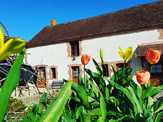 locations vacances Cottage Loir-et-Cher Countryside à MENNETOU-SUR-CHER