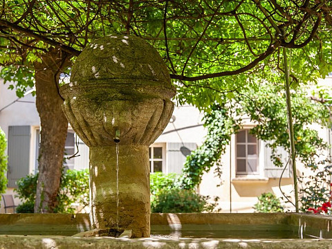 Location vacances Carpentras Vaucluse Provence 2 à 4 pers grand jardin